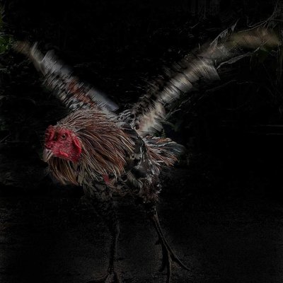 Ayam Bangkok
