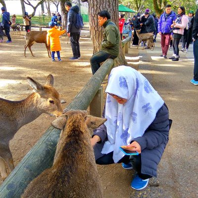Nara