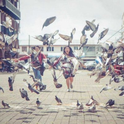 • Chasing Pigeons III •