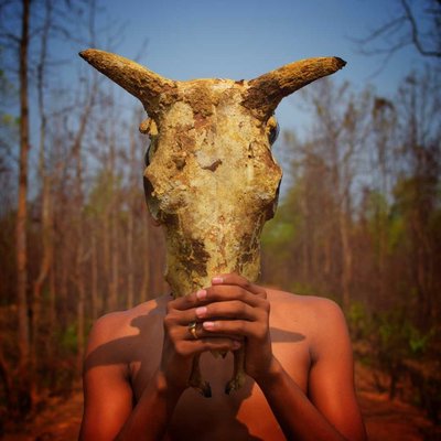 Cow 🐮 Head 