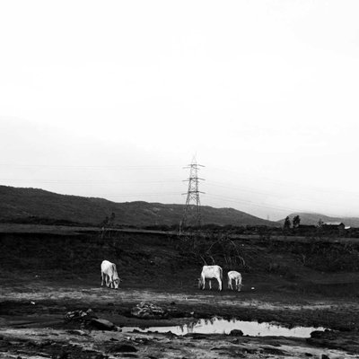 Black And white 