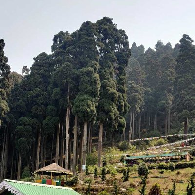 Lamahatta Eco park