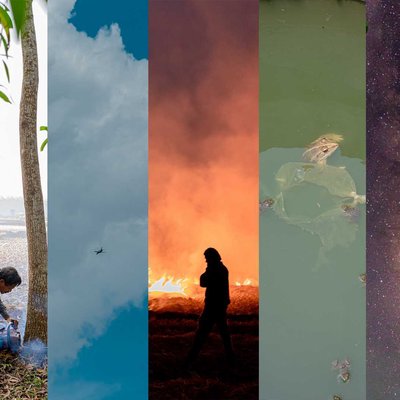International Mother Earth Day