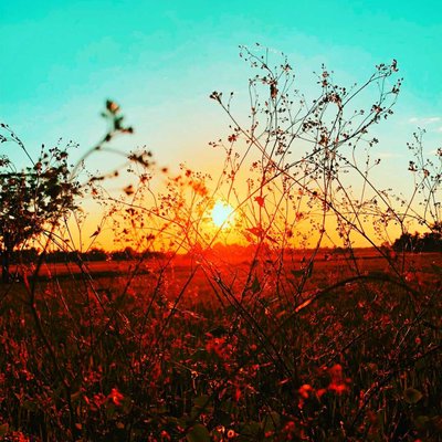 Evening is Coming | 🌅