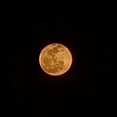 Yesterday moon 