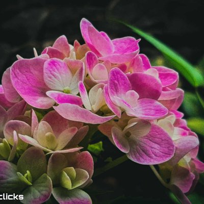 Beauty of nature 😍