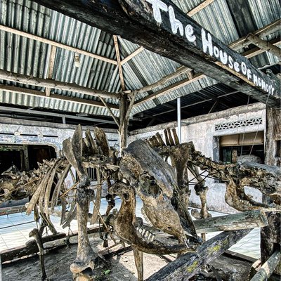 museum merapi