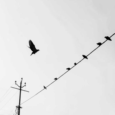 Spread your wings and fly🕊️.