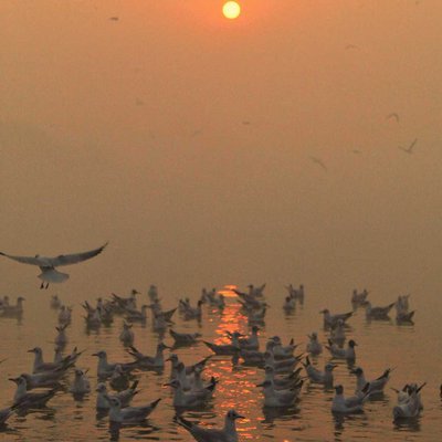 Peaceful morning 