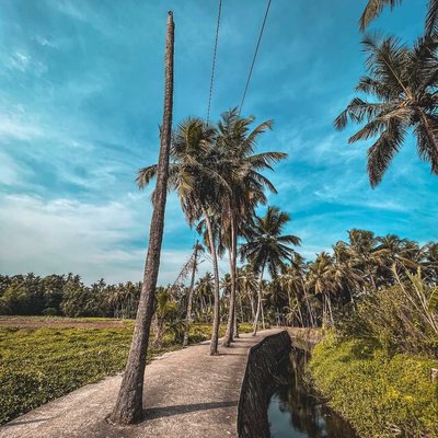 Take a walk