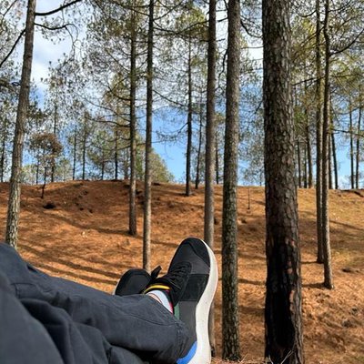 Sitting in woods….