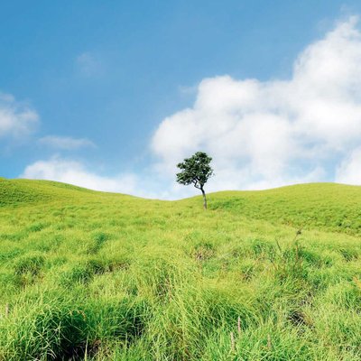 Bukit Nanggi, Sembalun