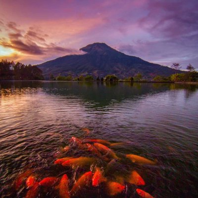 Sunrise di embung Kledung bersama ikan ikan 
