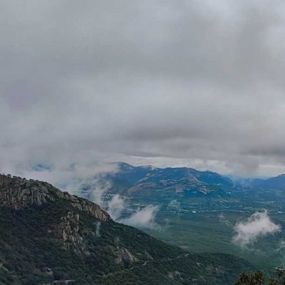 Tirumala Hills🌲