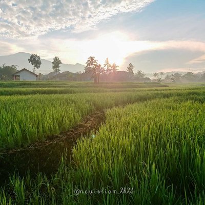 sunrise 