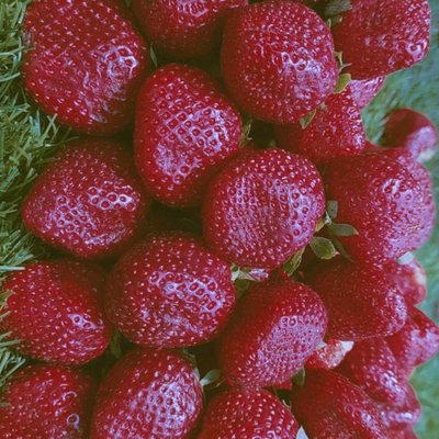 strawberries