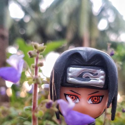 Hidden Leaf Village📍