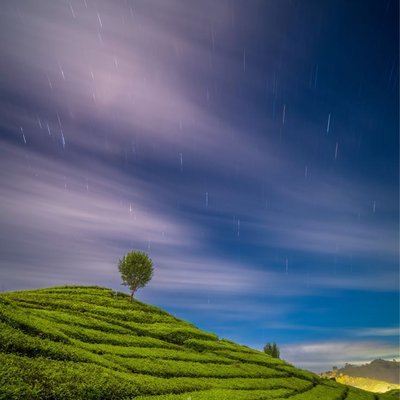 rancabali startrail
