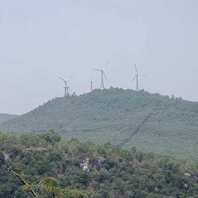 Seshachalam hills 