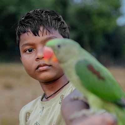 Pets Are Essential Part of Our Life