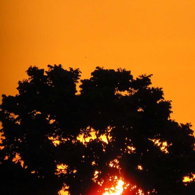 SUNSET 🌇