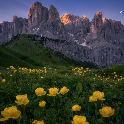 Passo Gardena