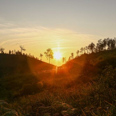 sunrise 