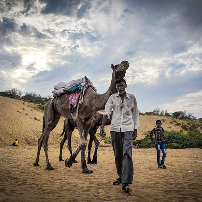 Camel ride