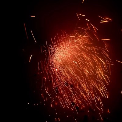 Diwali Vibes 
