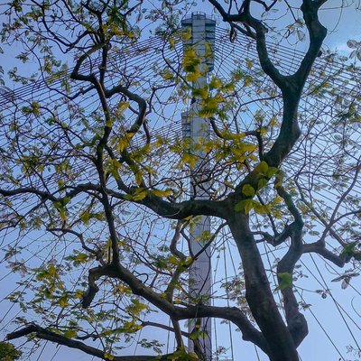 Vidyasagar Setu 