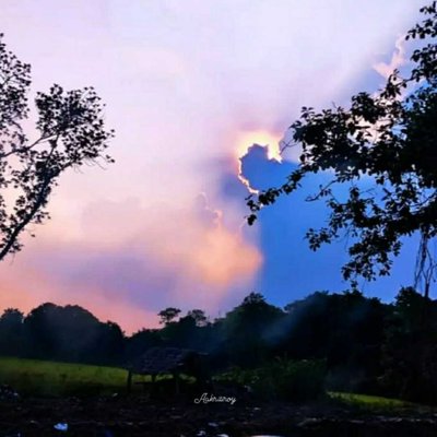 sunset beauty 