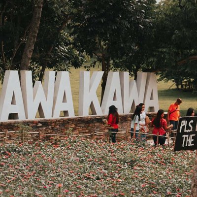 KAWA KAWA