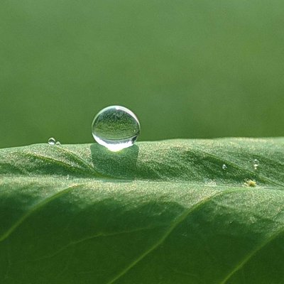 macro photography 📲