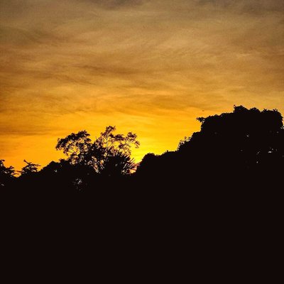 It's A Golden Moment 🌝💛🔥
