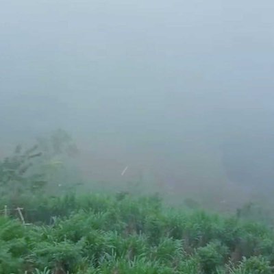 Hamparan Kabut