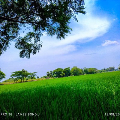 I love agriculture 🌷🌻🪻🌾🌱🌿💚