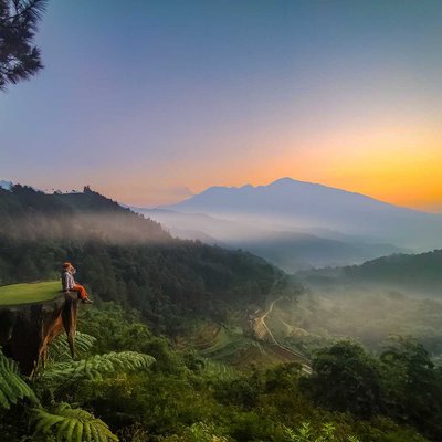 Goa Pinus Pujon