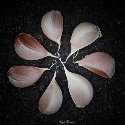 Garlic in the Repetition Composition