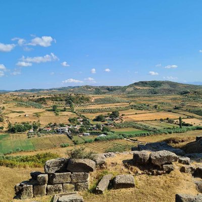 Apolonija
