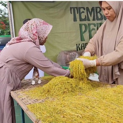tembakau 