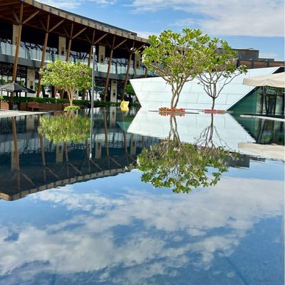 reflection 