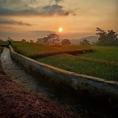 Pagi di Desa