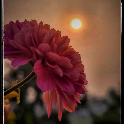 The sunset beauty 😍