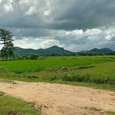 Our Village Beauty....