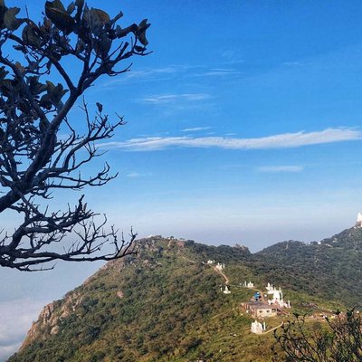 Teerthraj Shikhar ji ⛰ 