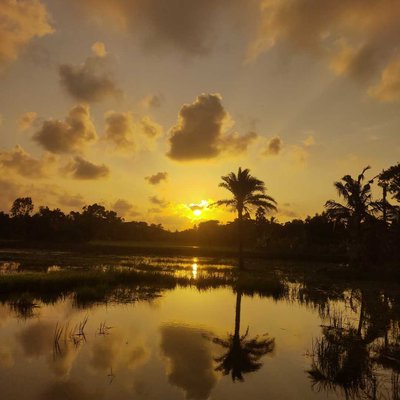 Reflection 