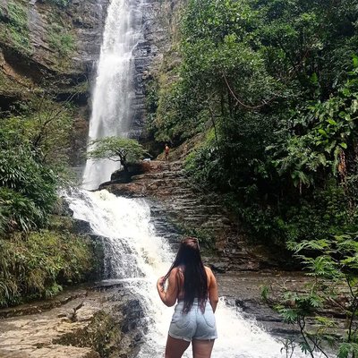 🍃🍃🍃