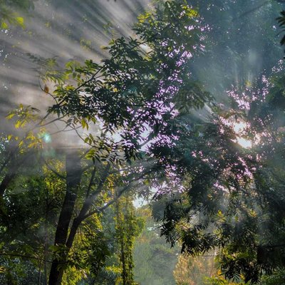 Ray Of Light