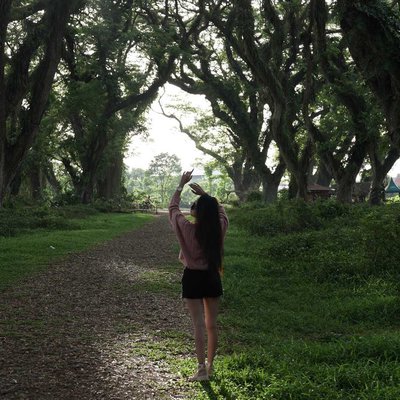 Hutan De Djawatan