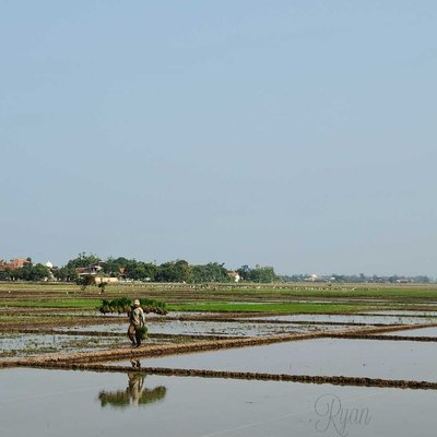 pak tani